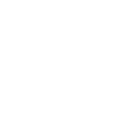 Swallow Collection